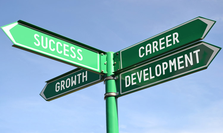 have an Effective Career Development Plan