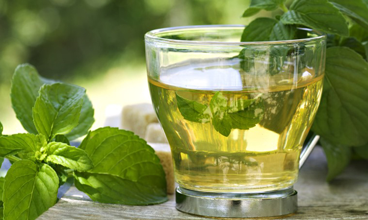 Green Tea - Things to Know Before Choosing it as Your Weight Loss Supplement
