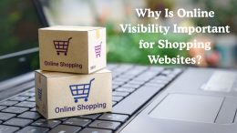 Why Is Online Visibility Important for Shopping Websites