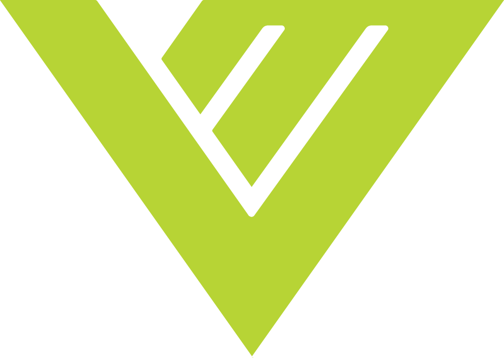 Vector Motors logo